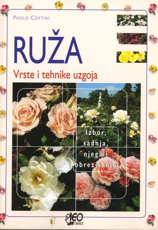 Ruža