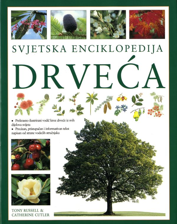 SVJETSKA ENCIKLOPEDIJA DRVEĆA