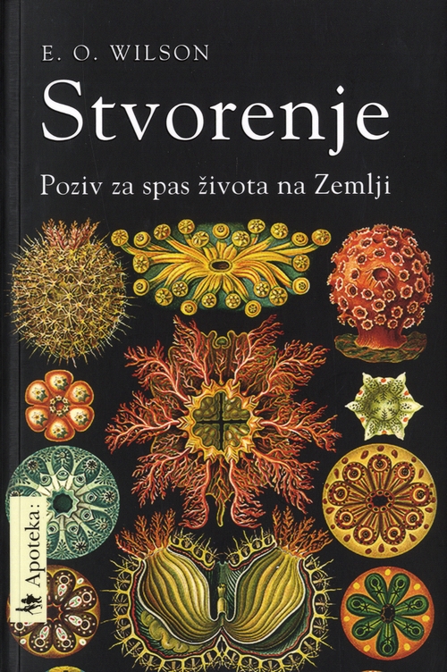 Stvorenje