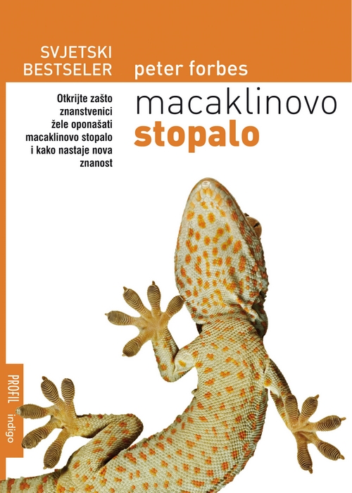 Macaklinovo stopalo