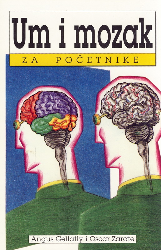 Um i mozak za početnike