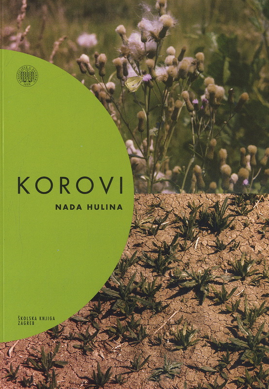 Korovi