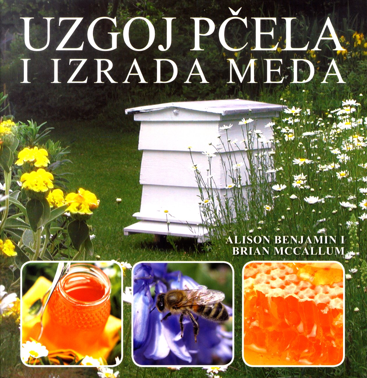 Uzgoj pčela i izrada meda