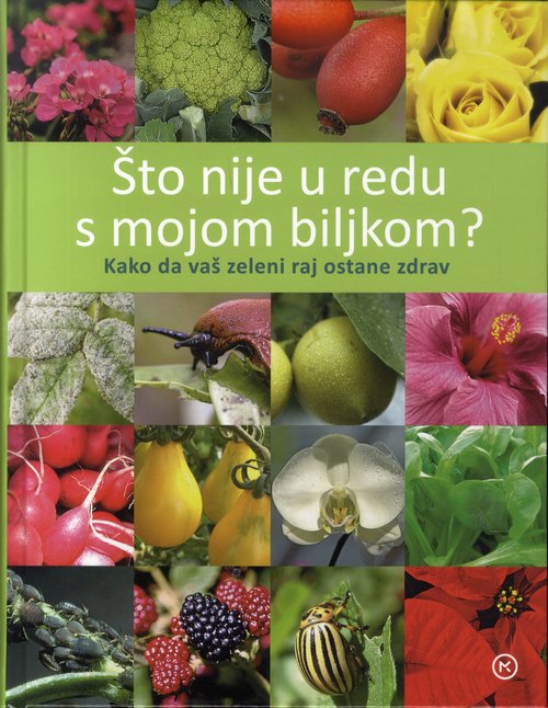 Što nije u redu s mojom biljkom?