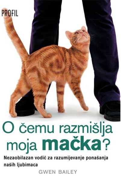 O čemu razmišlja moja mačka