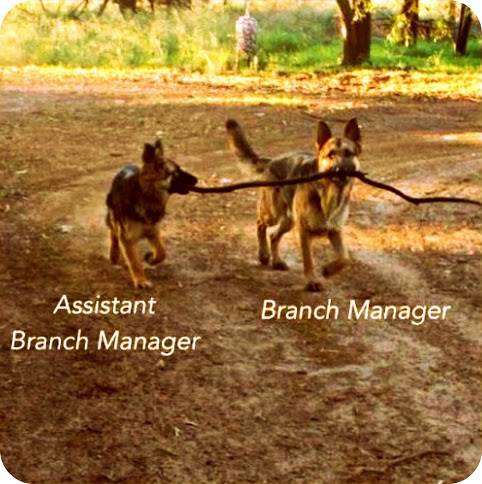 Branch manager