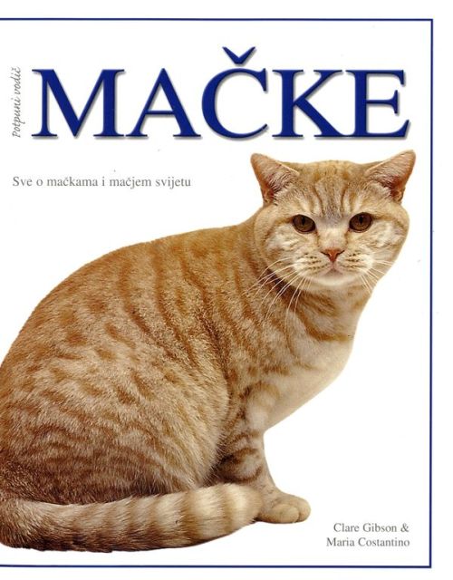 Mačke - potpuni vodič