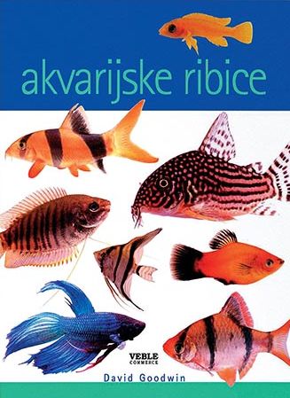 Akvarijske ribice