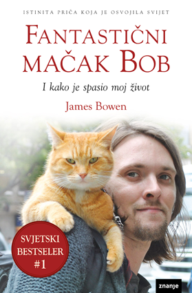 Fantastični mačak Bob