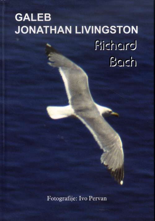 Galeb Jonathan Livingston