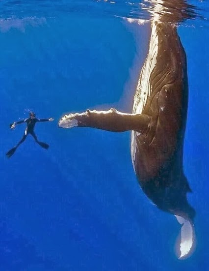 give-me-five give-me-five