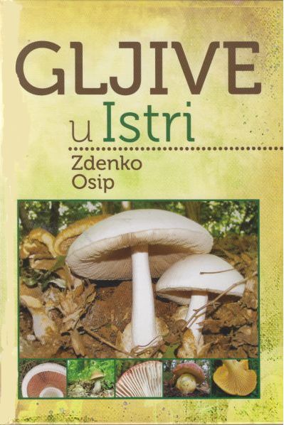 Gljive u Istri
