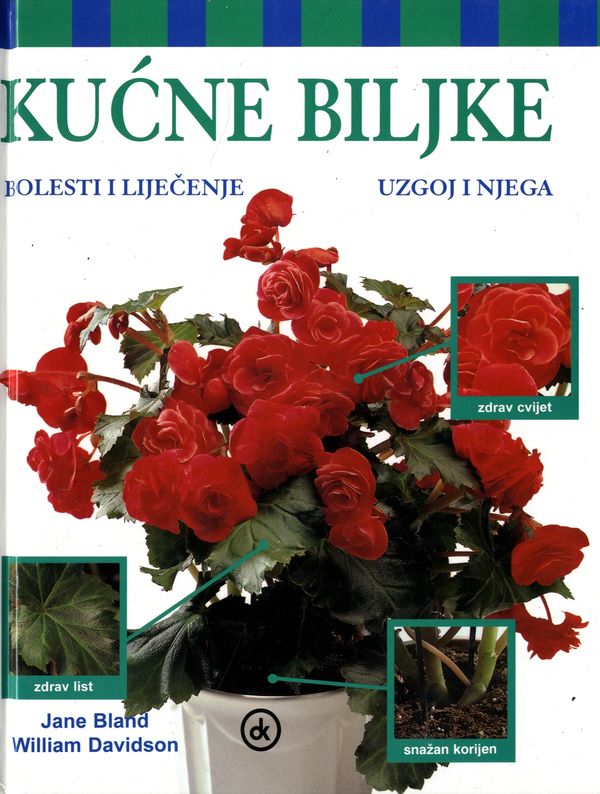 Kućne biljke