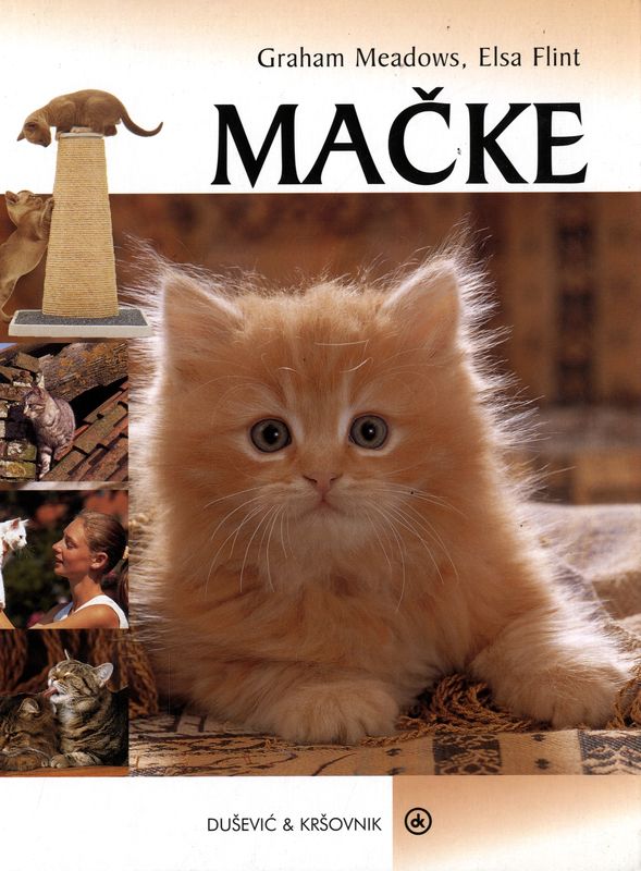 Mačke