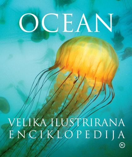 Ocean