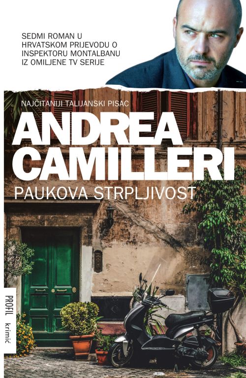 Paukova strpljivost