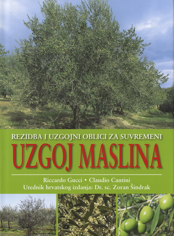 REZIDBA I UZGOJNI OBLICI ZA SUVREMENI UZGOJ MASLINA