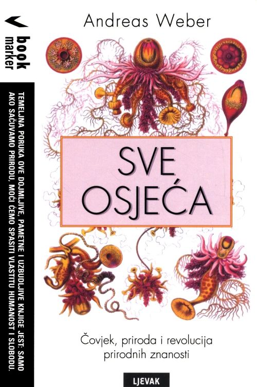 Sve osjeća