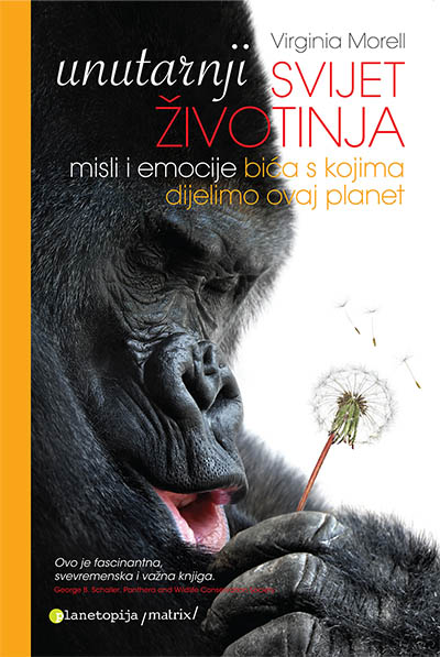 Unutarnji svijet životinja