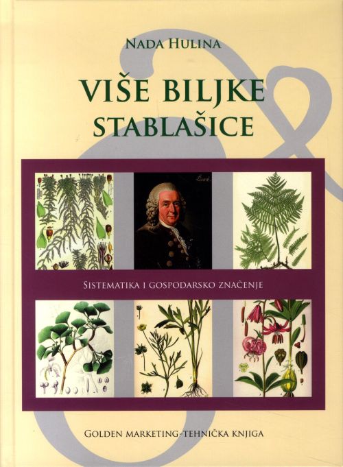 Više biljke stablašice