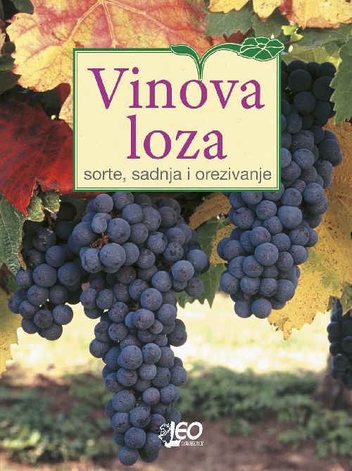 Vinova loza - sorte, sadnja i orezivanje