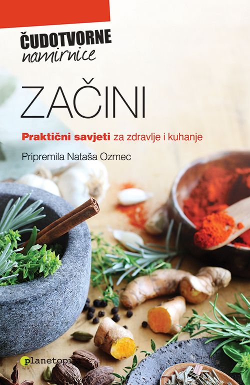 Začini